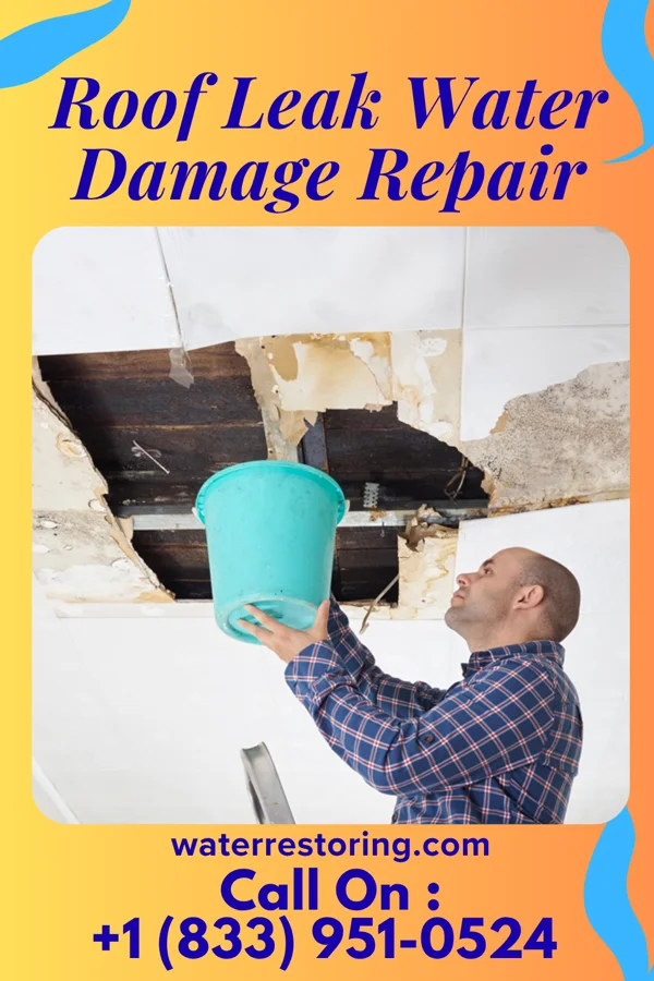 Roof Leak Water Damage Repair in Crooked Creek, GA